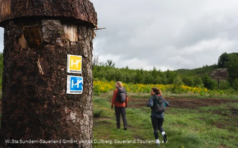 Zwei Wanderer auf dem Fickeltünnesweg
