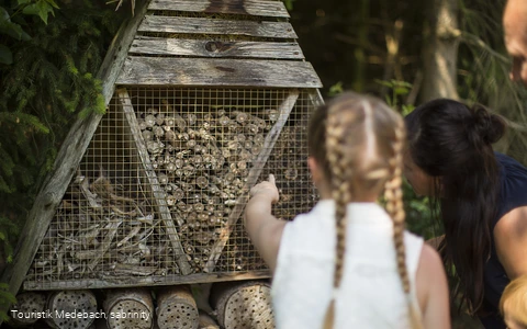 Es gibt viel zu entdecken bei den Familien-Wanderwegen in Medebach