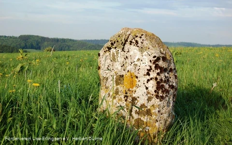Grenzstein Erlinghausen