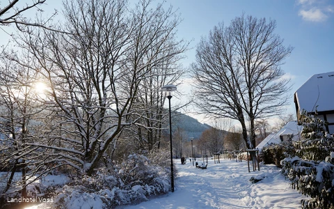 Voss sneeuw foto's 2017_126.jpg