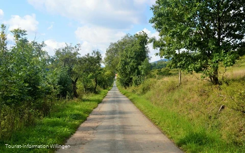 Auf dem Geschichtspfad Welleringhausen