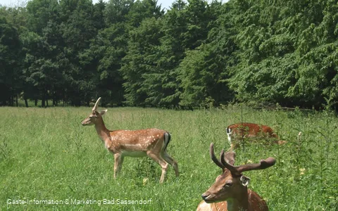 Freiherr-von-Wintzingerode-Park
