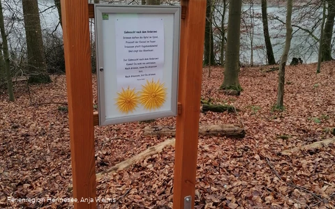 Eine der 12 Stationen am Wogenweg am Hennesee