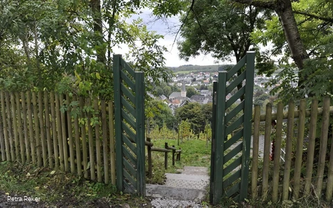 Blick auf Neuenrade durch das Tor vom Weinberg