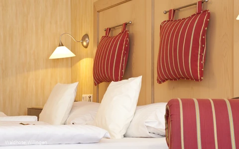 Studio tweepersoonskamer Waldhotel Willingen.jpg