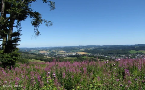 Blick auf Neuenrade
