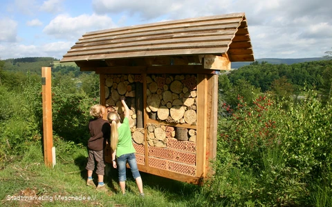 Insektenhotel Sinnepfad Hennesee