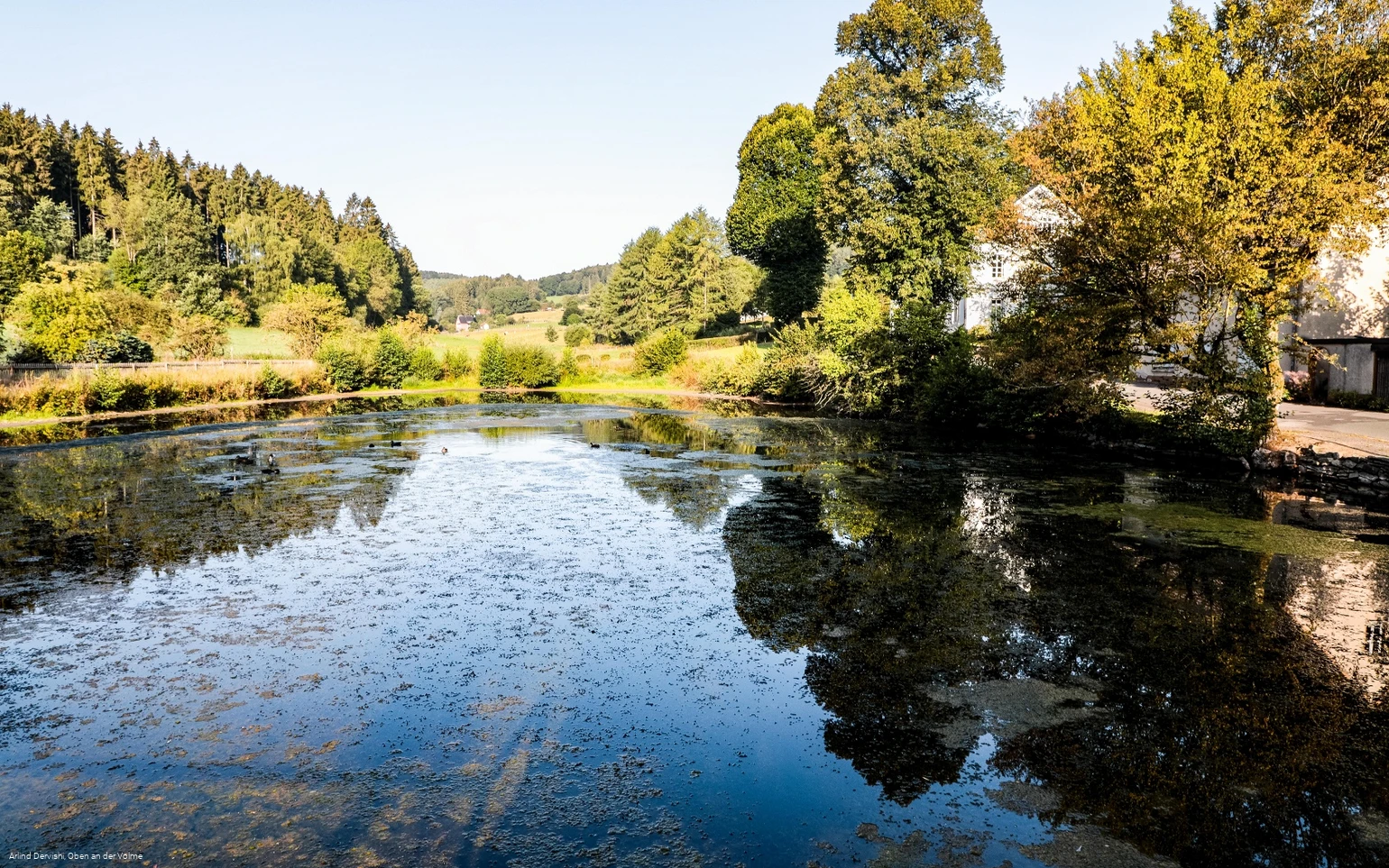 Fischteich am Ende bzw. Anfang des Schlechtenbachtals