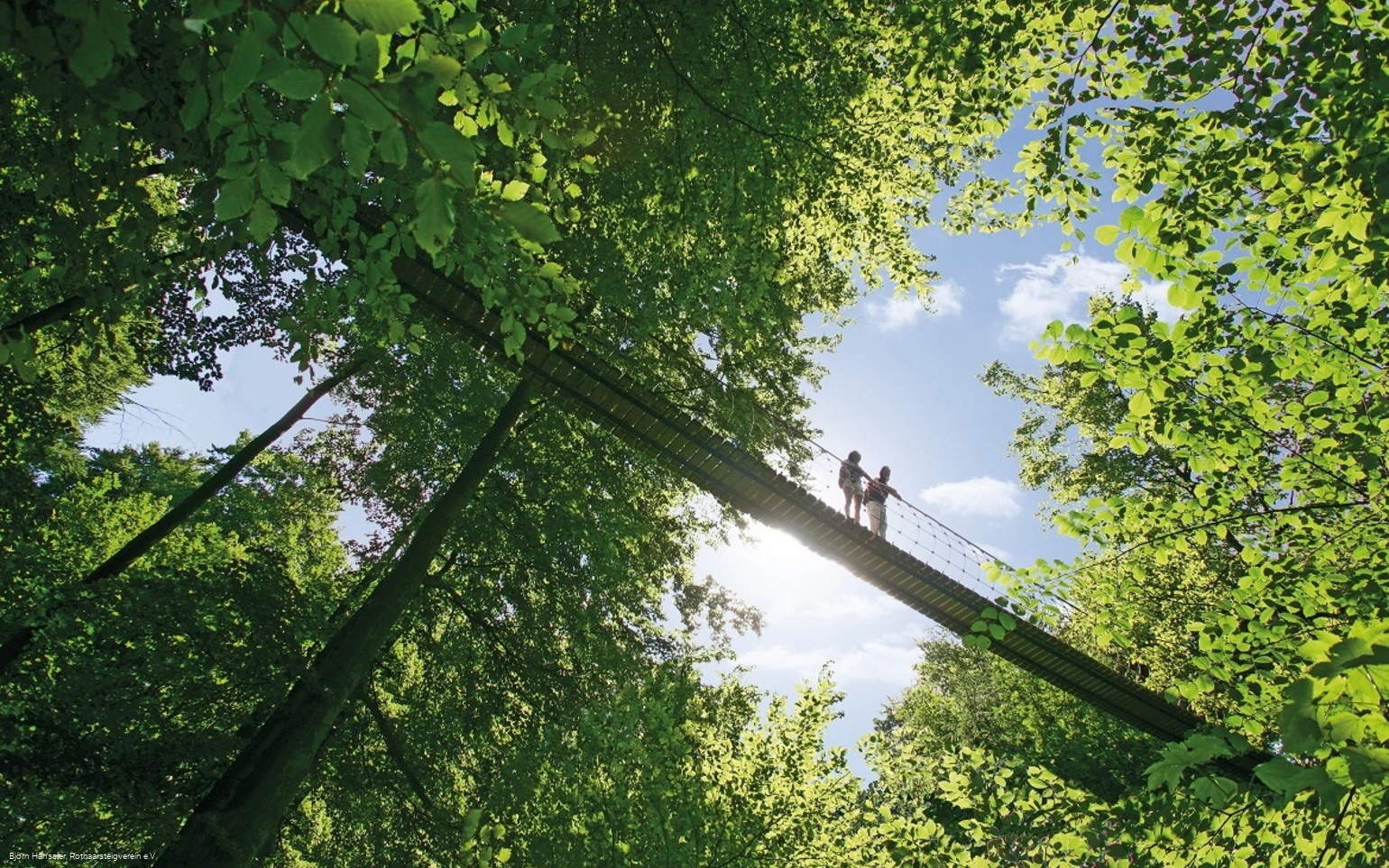 Hängebrücke am Rothaarsteig bei Kühhude