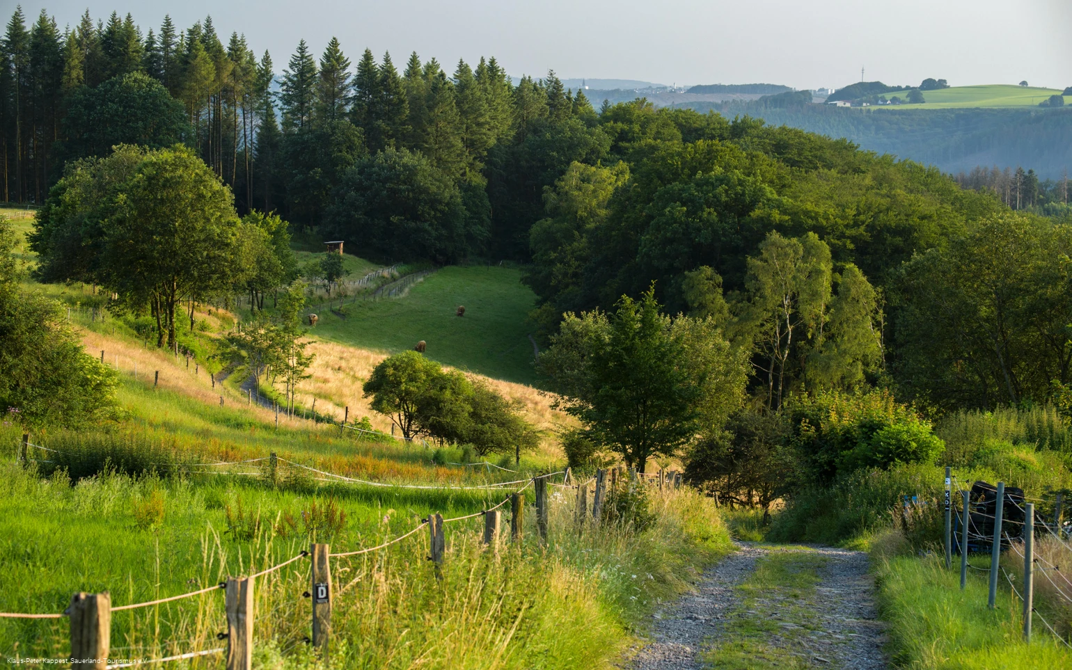 Weg zwischen Altena und Hegenscheid