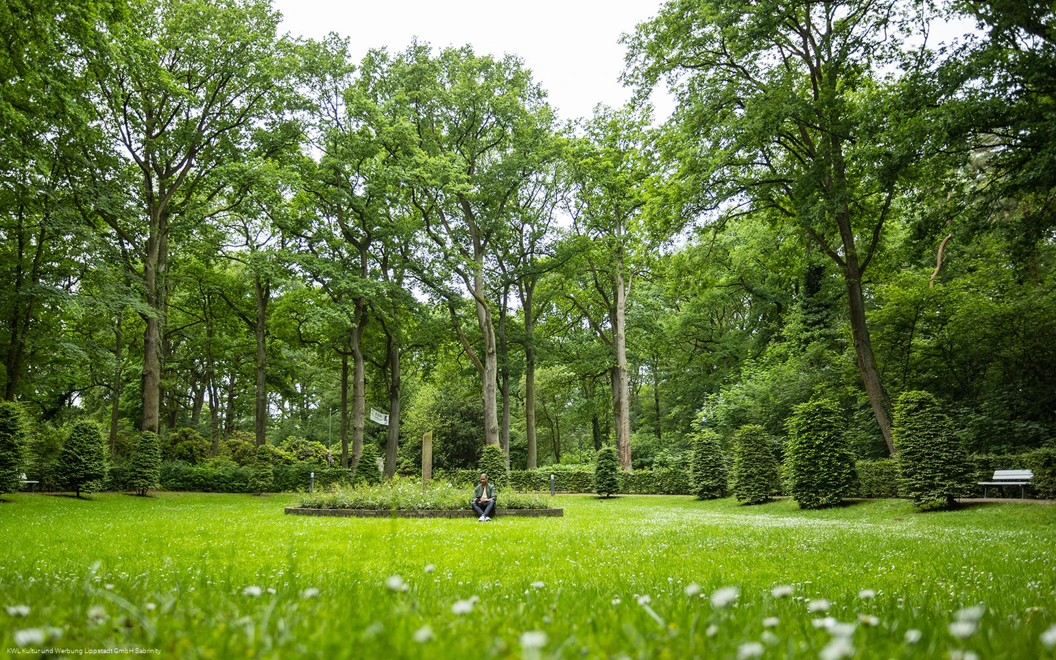 Kurpark Bad Waldliesborn
