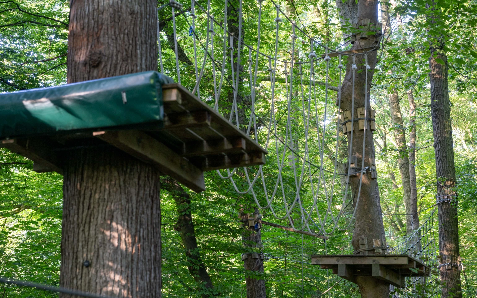 20240729_Kletterpark 2.jpg