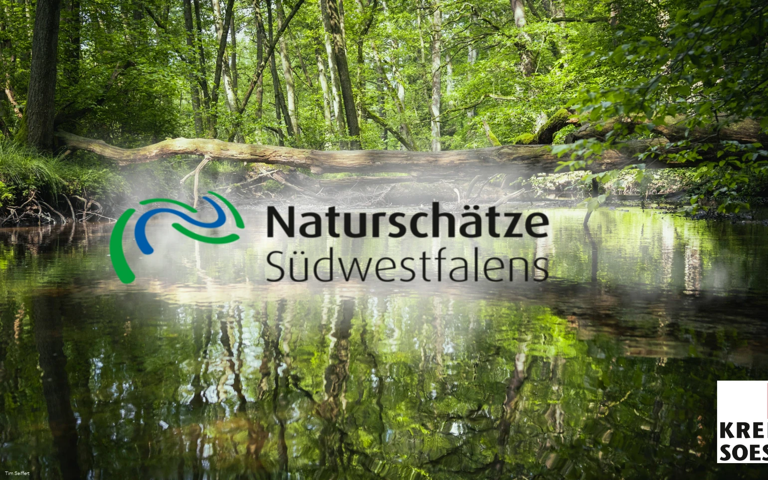 Naturschätze Südwestfalen_Foto (c) Tim Seiffert.jpeg