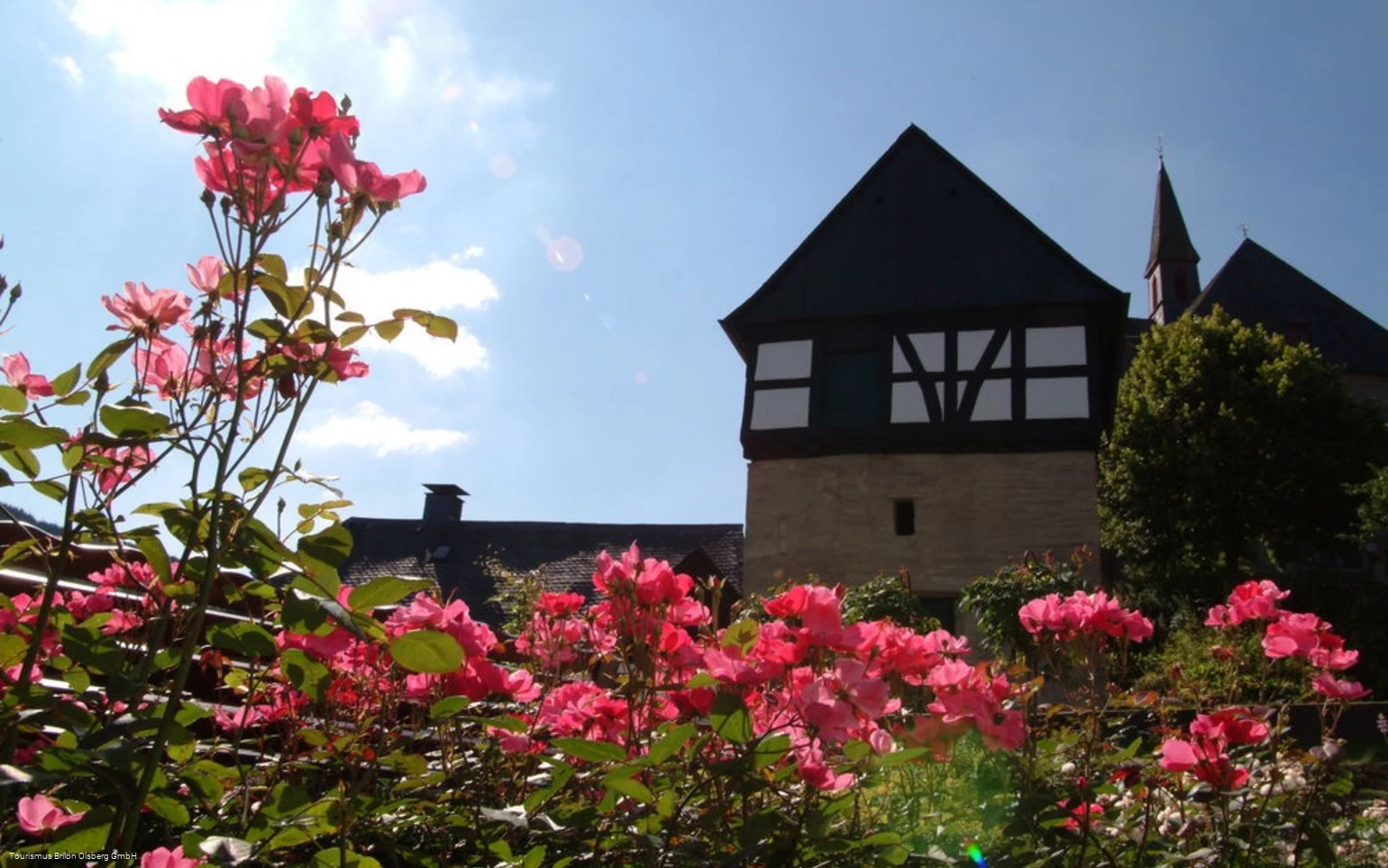 Rosen Zehntspeicher