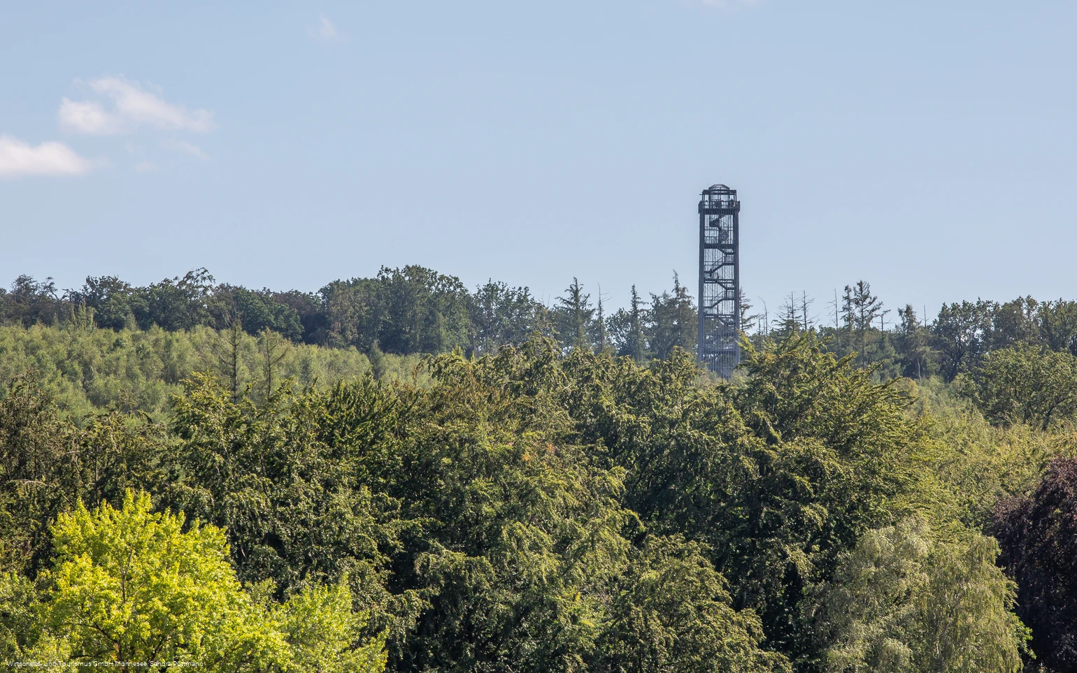 Möhnesee-Turm im Wald