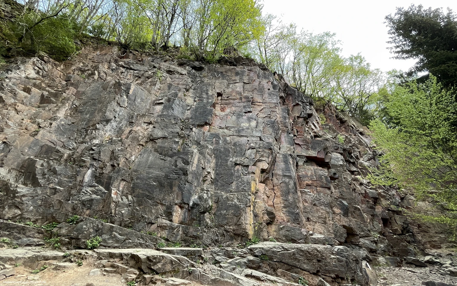 20220505_Scharpenbeul (11).jpg