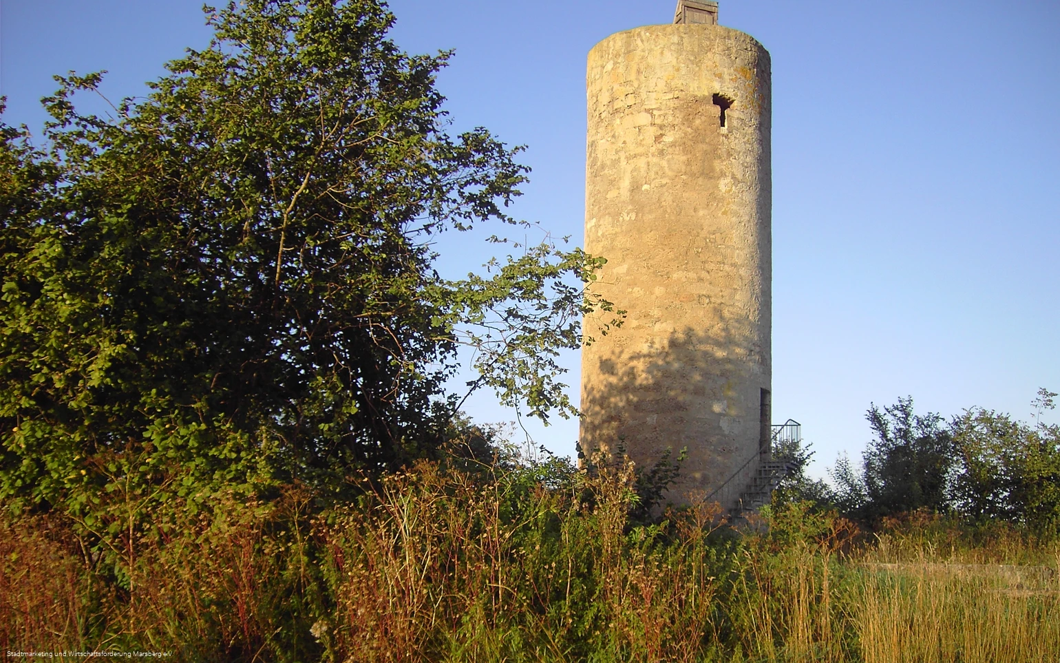 Donnersberger Warte (Mäuseturm)
