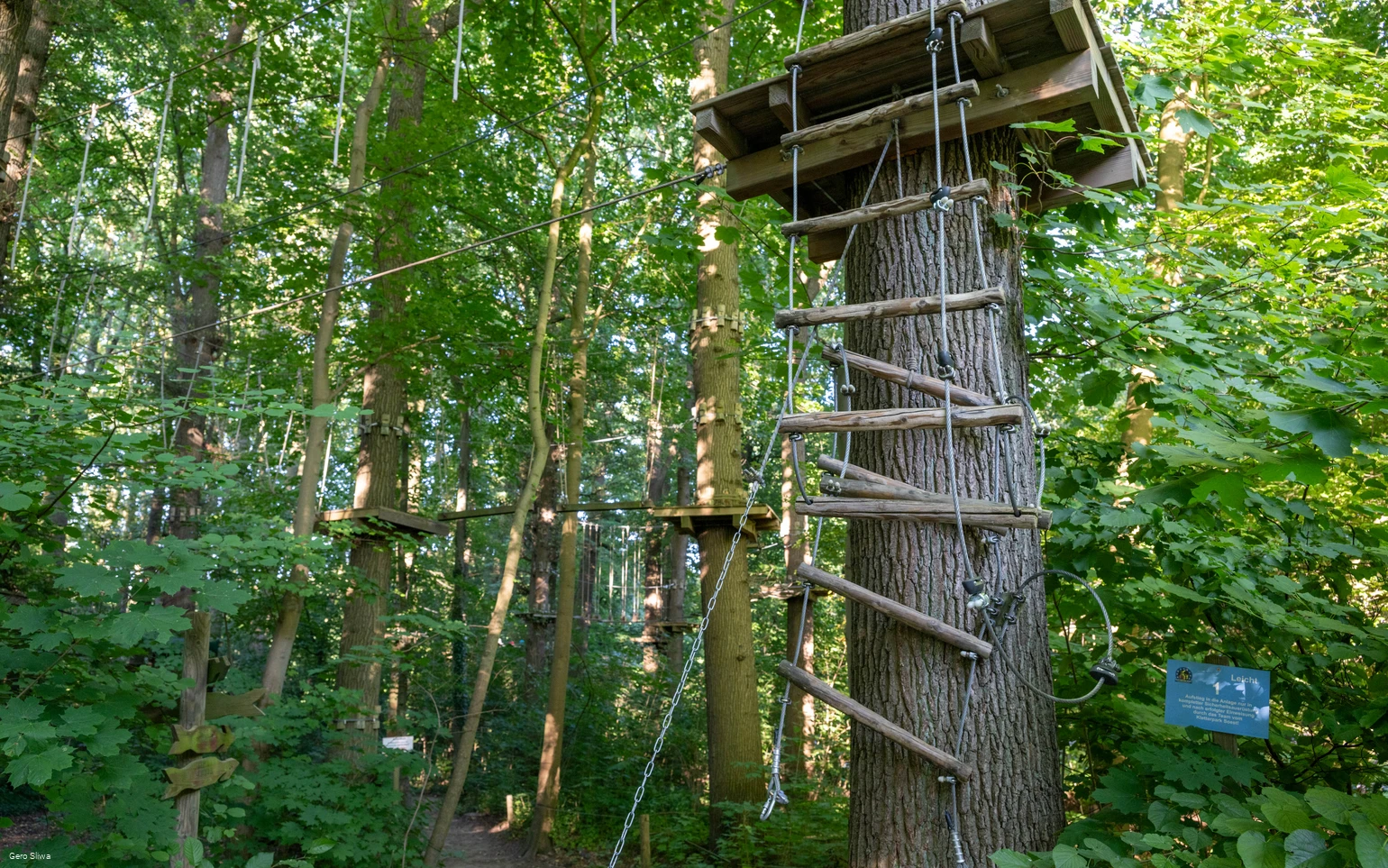 20240729_Kletterpark 1.jpg