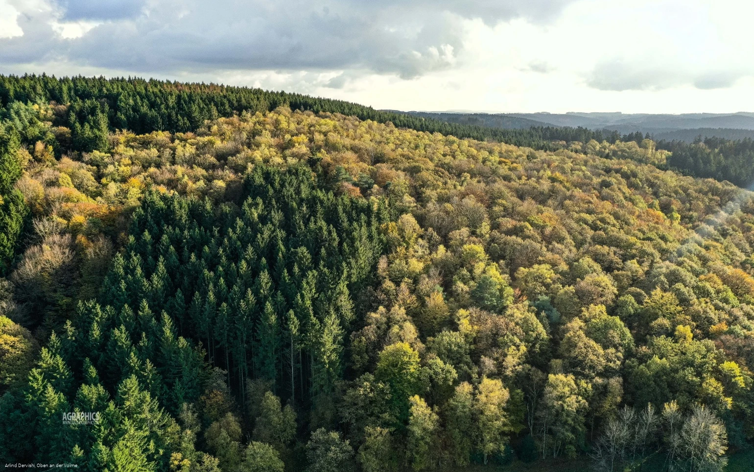 Der Sauerländer Wald ist Thema dieses Wanderweges