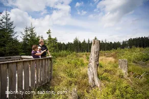 Hochmoor