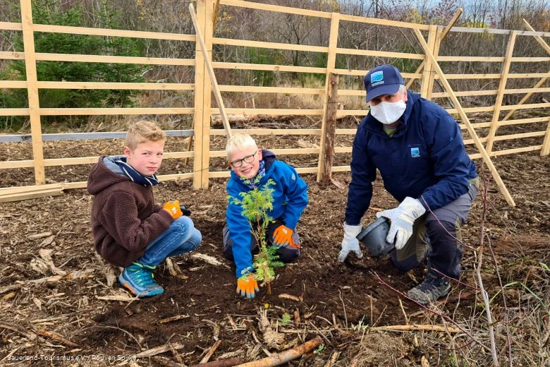 Gemeinsam mit Dirk Zimmermann vom Naturpark pflanzen die Sch&uuml;ler der Kath. Grundschule Hallenberg behutsam die Setzlinge in den Boden.
