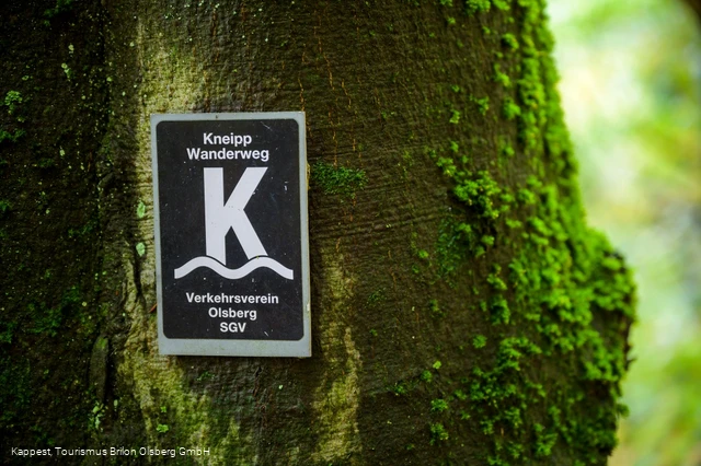 Olsberger Kneipp WanderWeg