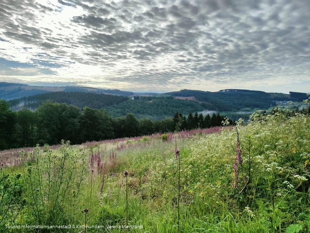 Ausblick von der Kophelle nach Kohlhagen