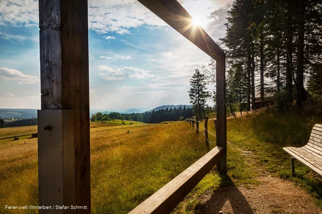 FerienweltWinterberg_2016_Neuastenberg_Landschaft Panorama Ausblick Sonne_Sommer_www.steff-fotografie.de.jpg