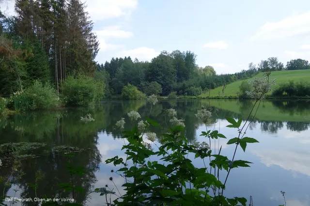 Idyllisch: Die Teiche entlang der Wanderstrecke