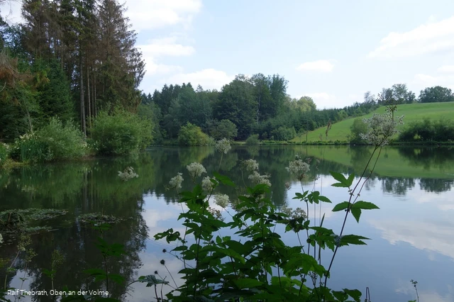 Idyllisch: Die Teiche entlang der Wanderstrecke
