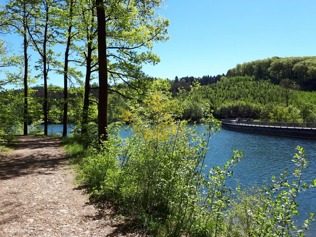 Jubachtalsperre mit Staumauer