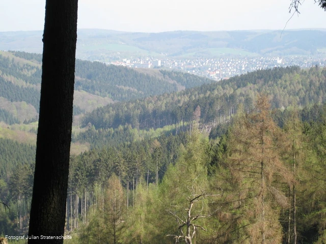 Blick auf Arnsberg