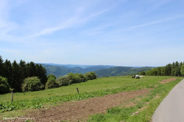 Wanderweg Wildewiese