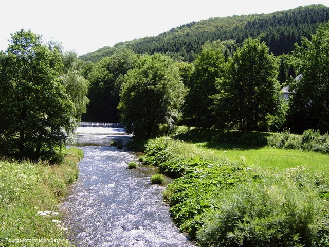 Ruhr bei Bestwig