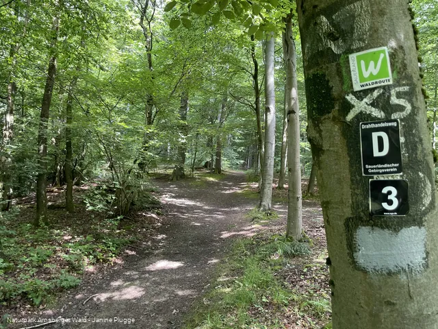 Pfad Nähe Danzturm Iserlohn