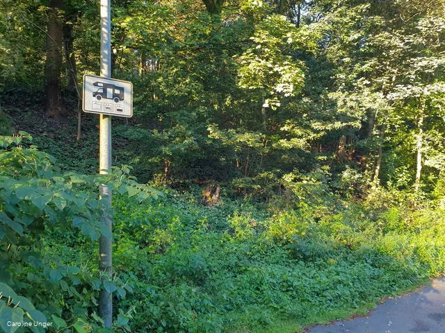 Wohnmobilstellplatz