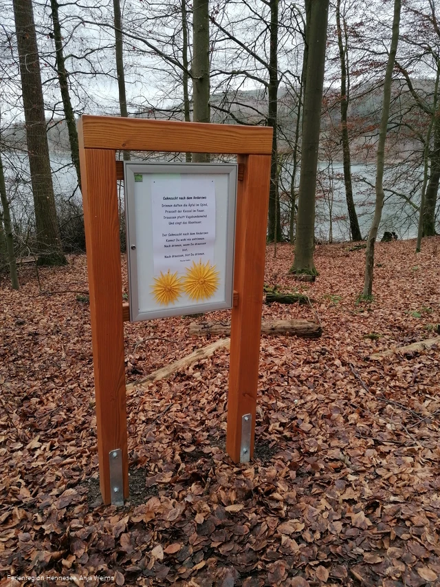 Eine der 12 Stationen am Wogenweg am Hennesee