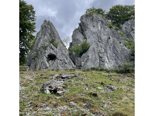 Wildpark Bilsteintal Warstein 