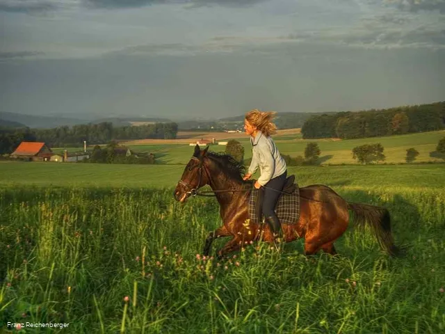 Frau auf Pferd