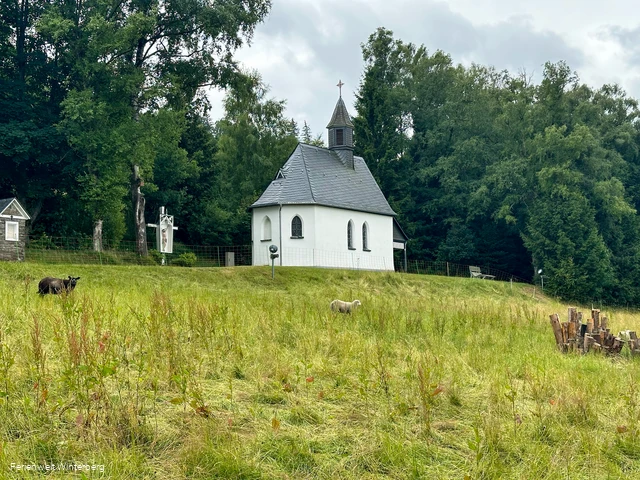Kapelle oberhalb einer Wiese mit Schafen, umgeben von Bäumen.