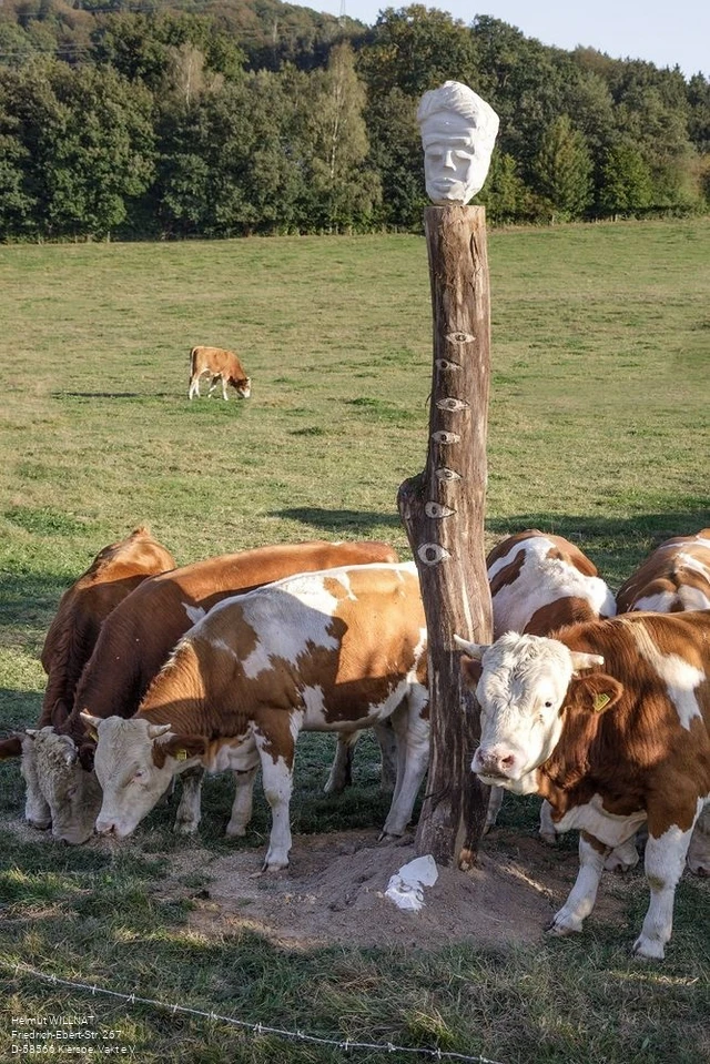 Der Scheuerpfahl auf der Weide