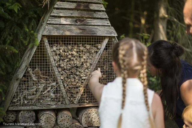 Es gibt viel zu entdecken bei den Familien-Wanderwegen in Medebach