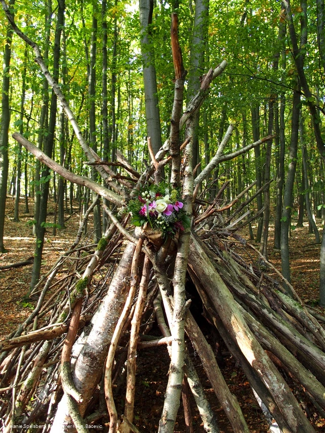 Wald-Tipi