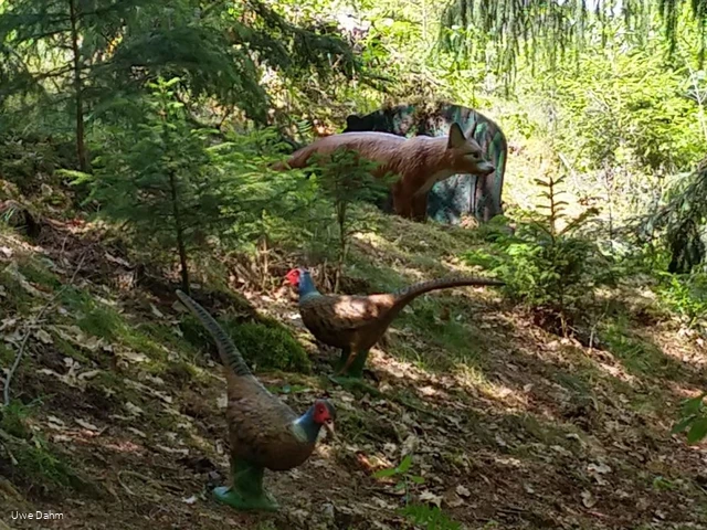 Figuren Bogenparcours