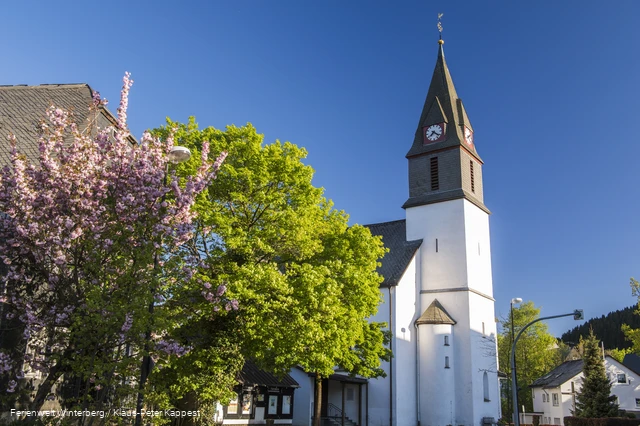 Eine Kirche umgeben von blühenden Bäumen.