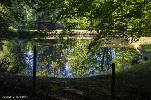 Klosterteichklein.jpg