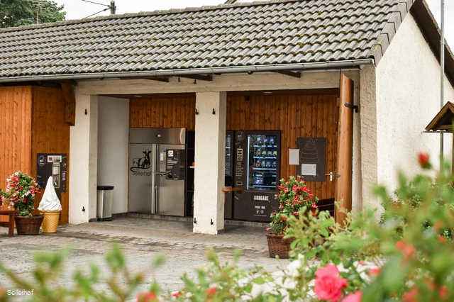 Bilder_bearbeitet_04-1.jpg