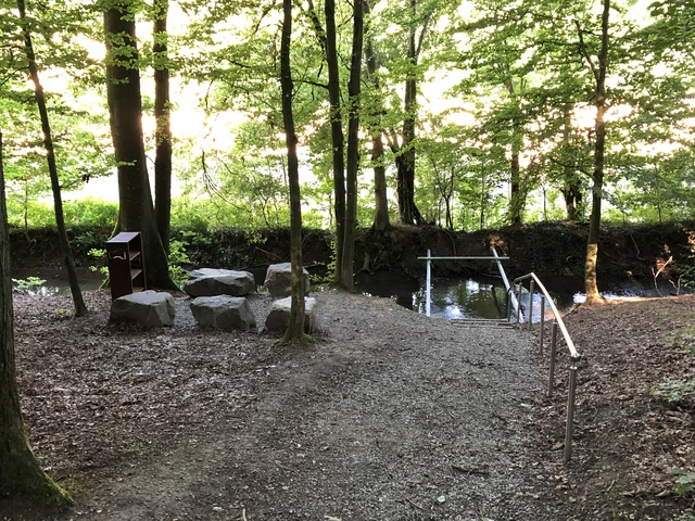Kneippbecken.JPG