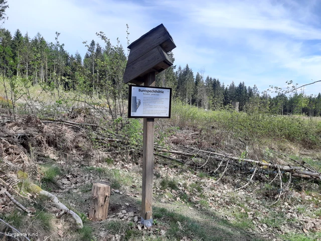 Guckkasten ©Margarete Kind.jpg