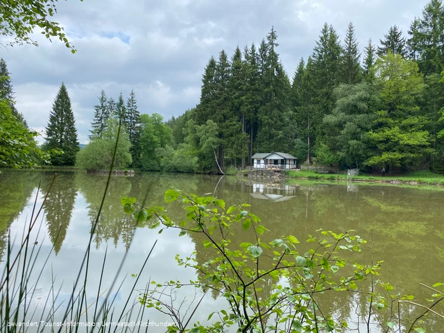 Hütte am Dollenbruch